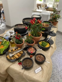 Buffet de Feijoada a domiclio